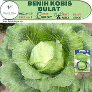 10pcs BENIH KOBIS BULAT cabbage seeds tahan panas cuaca kuala Lumpur selangor