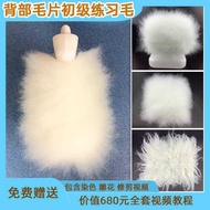 Pet Fake Hair Beautician Practice Fake Hair Block Fake Hair Piece Back Hair Bracket Model Simulation