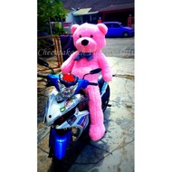 TEDDY BEAR 160CM/63INCI promosi