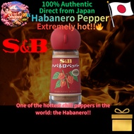 S&B Habanero Pepper Powder 12g | Extra Hot Chili Spice [Direct from JAPAN]