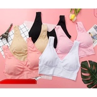 Sports Bra 615 Singlet Kemben with Foam Cup