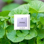 Gotu Kola Leaf Tea Bags (1 Pcs Tea Bag SACHET)