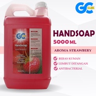 Sabun Cuci Tangan Hand Wash Hand Soap 5 Liter