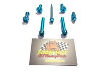 [HCM]Bộ 7 con Ốc Titan Gr5 cho Heo Brembo 2 pis đối xứng logo lớn