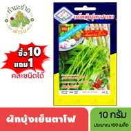 3A (ซื้อ10แถม1) เมล็ดพันธุ์ ผักบุ้งเย็นตาโฟ ขนาด 10 กรัม ประมาณ 150 เมล็ด KANG KONG ผักบุ้ง ผักบุ้งแ