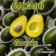 KAIDEE ขายดี ยกล่อง3KG!!!  Avacado อโวคาโด อโวคาโด้ อะโวคาโด อะโวคาโด้ อาโวคาโด อาโวคาโด้ อโวคาโดสดจ