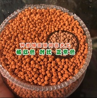 HOT SELLING [ SG READY STOCK ] 1KG Vitality Soil Popcorn Leca 2-4mm l Multi Purpose potting medium soil