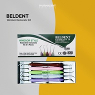 Beldent Dental Instrument Windsor Restorativ Kit CD-2333