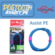 DOGTOOTH ASSIST PE ASSIST LINE PE/ ASSIST THREAD/ ASSIST ROPE/ from RELIX NUSANTARA