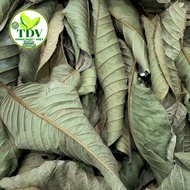 Dried Guava Leaves Help Lose Weight, Stabilize Blood Sugar, Prevent Bad Breath, Bad Armpits