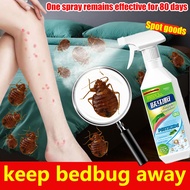 【500% effective】bed bug spray killer bed bug killer dust mite spray anti bed bug No cleaning No odor