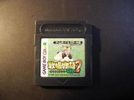 牧場物語 GB2│Game Boy Color│編號:G3
