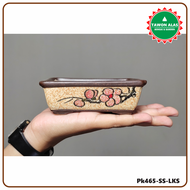 Pot Bonsai Keramik Mame Mini Kecil Segi Empat Persegi Panjang no Semen