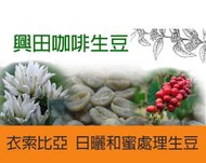 杯測94分 日曬耶加雪菲 G1 艾瑞加 紫櫻桃【獨家批次】衣索匹亞【每包500公克】【興田咖啡生豆】精品咖啡生豆