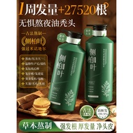 Cypress Leaf Shampoo Oil Control Fluffy Anti-Dandruff Ginger Ginseng Official Flagship Store Genuine