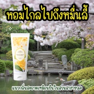 Luxury Perfume Lotion Miracle Night Scent (Ten Thousand Miles Scent)