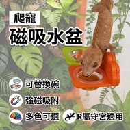 Magnetic Gecko Basin Eyelash Gecko Breeding Box Landscaping Gecko House Water Basin Fruit Puree Basi