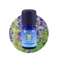 Oshadhi Lavender Highland essential oil 5 ml