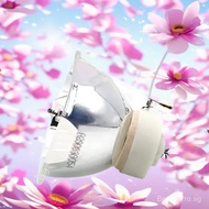 Sanyo PLC-WL2500/PLC-WL2501/PLC-WL2503/PRM30 Projector Light Bulb LJLV