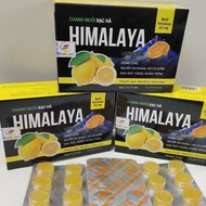 Himalayan Mint Salt Lemon Candy