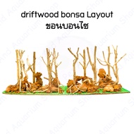 driftwood bonsa Layout ขอนบอนไซสำหรับตั้งตู้ไม้น้ำ ตกแต่งตู้ ขอนไม้ Bonsai ตู้ไม้น้ำ ตู้ปลาพรรณไม้น้