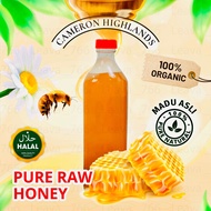 1 KG Wholesale【Cameron Highland🔥 】100%Original Madu Kelulut/ Madu Tualang/ Madu Asli /Raw Honey