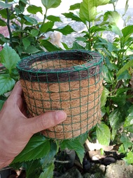 ( BISA COD ) Pot Anggrek Bulat / Pot Sabut Kelapa / Pot Tanaman Anggrek