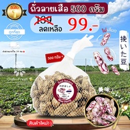 ถั่วลายเสือ ปลอดสารพิษ 500 ก. รสชาติหวาน มัน เคี้ยวเพลิน สด ใหม่ ใยอาหารสูง หวานออร์แกนิด เคลมได้ 1-