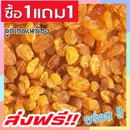 🚀ส่งฟรี⚡ ซื้อ 1 ฟรี 1 ลูกเกดสีทอง พร้อมทาน เกรด A Golden Raisins คุณภาพดี ไม่มีส่วนผสมของน้ำตาล ( ขนาด 100กรัม ฟรี 100กรัม ) เหมาะสำหรับทุกวัย Premium Quality Products ลูกเกดสีเหลือง ลูกเกดเหลือง เกดเหลือง  ลูกเกดทอง