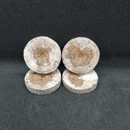 4PC JIFFY PEAT PELLETS COCOPEAT GROWING MEDIA GRAFTING PLANT GARDEN SEED STARTER