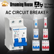 Blagain AC & DC Circuit Breaker for Solar Mini Circuit Breaker Switch for Photovoltaic PV System DC 