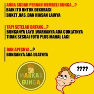 Bunga Anggrek Bulan / Buket Bunga Anggrek / Rangkaian Bunga Anggrek