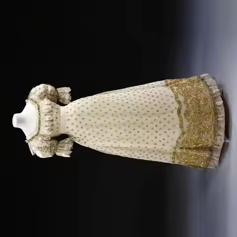 1820s Victorian Evening Dress Historical Tudor Regency Royal Court Lace Embroidery High Waistline Pr