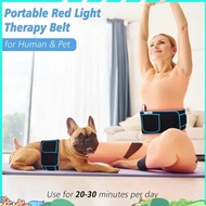 660nm&850nm Relaxing Muscle Slimming Heat Compress Waist Belt EU Plug gjxqnjjjj