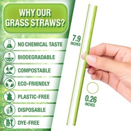 TXV Mart Eco-Friendly Disposable Party Grass Straws Drinking 100% Natural, Biodegradable, and Compos