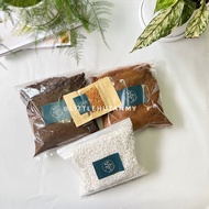 [MIX SOIL] Mix soil together with peat moss cocopeat perlite and slow fertilizer by little hutan