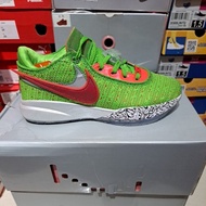 Lebron xx xp basketball shoes