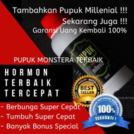 Best, Monstera Fertilizer, Fertilizer for Monstera Deliciosa, Monstera Plant Fertilizer, The Best