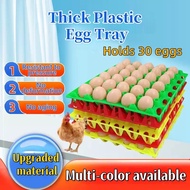 Dulang Telur Plastik Egg Plastic Tray Can Hold Storage 30 Eggs Sarang Telur Plastik Box Stackable Du