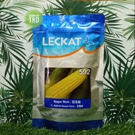 Paket 200g SUGAR RICH 592 Leckat Biji Benih Jagung Manis F1 Hybrid Sweet Corn Seeds Ready Stock.