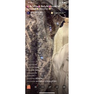 Total 7 More Numbers + The Last Picture For Free