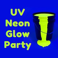 Acrylic Neon UV Glow Paint Glows on UV Blacklight, Glow Party Paint, Party Event Decoration