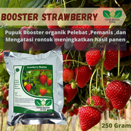 Pupuk Pelebat Stroberi Organik Booster dan  Pelebat Tanaman Strawberry Agar Cepat Berbuah LebatObat 