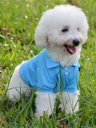 1 件 Polo 寵物襯衫,適合日常使用