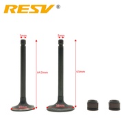 RESV for Yamaha Virago XV250 V Star 250 Route 66 SRV250 QJ250-H QJ250-L QJ250-J Valve Intake Exhaust