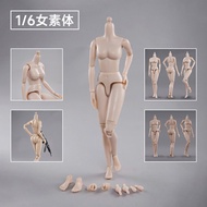 Female soldier1/6Improved jointed body with ultra-articulated hands for female figure art painting a