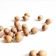 GENUINE RATTAN SEEDS - Product Photography Props Seed/s Photo Props Supplies/s Photo Props/s