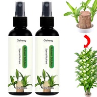 Brazilian Wood Plant FoodOsheng Brazilwood Nutrient Solution