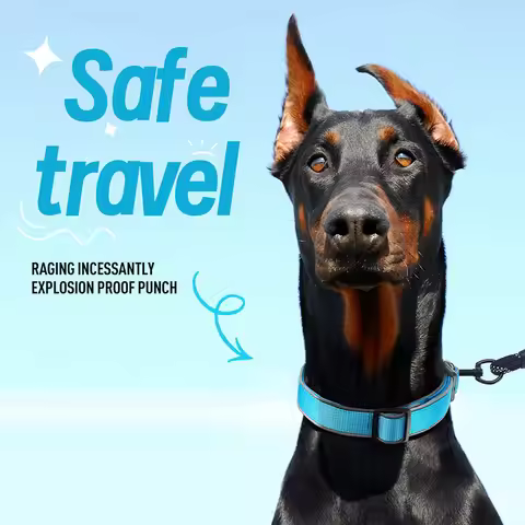 Anti Slip dog Collar Reflective And Anti Loss Dog Collar Adjustable For Neck 28-66 Centimeter Medium