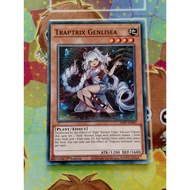 [ Do Lac Shop ] Yugioh Monster Traptrix Genlsea Card - SDBT-EN007 - Common